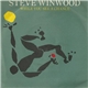 Steve Winwood - While You See A Chance